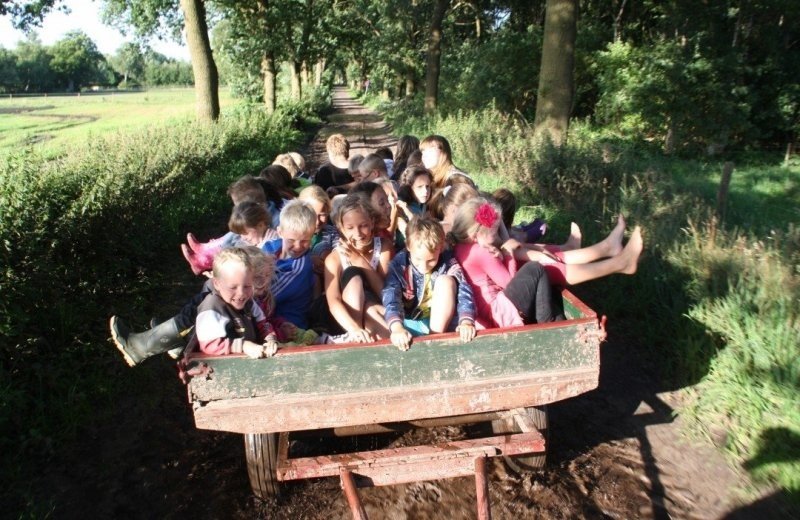 Animatiecamping in drenthe