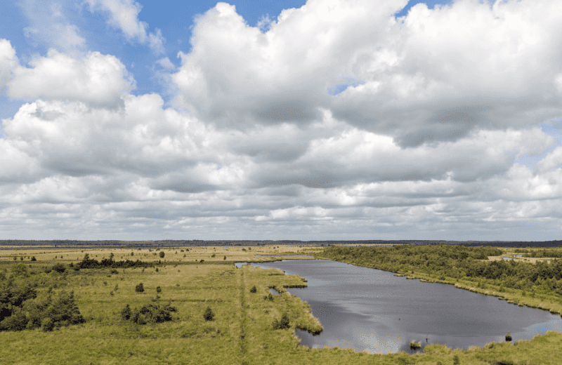 Natuur drenthe mountainbiken